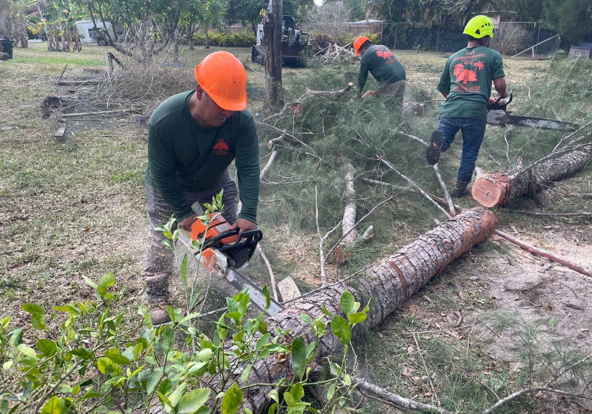 Tree Services