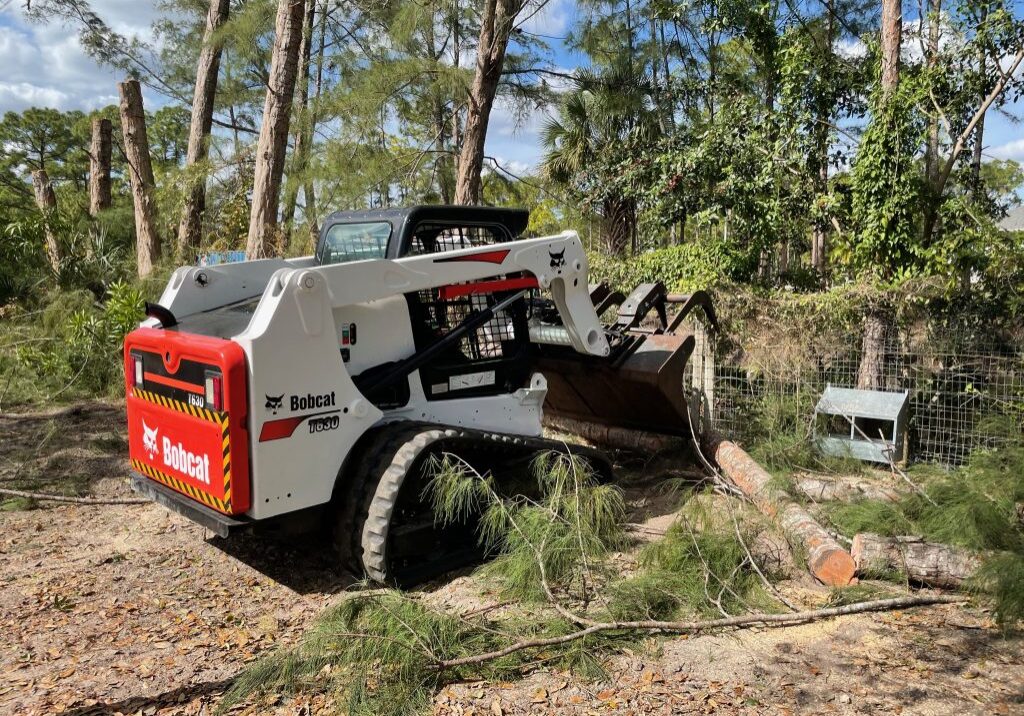 Tree Service, Tree Removal, Tree Trimming - Loxahatchee, Wellington, Royal Palm Beach, West Palm Beach, Westlake - JH Tree Service_16