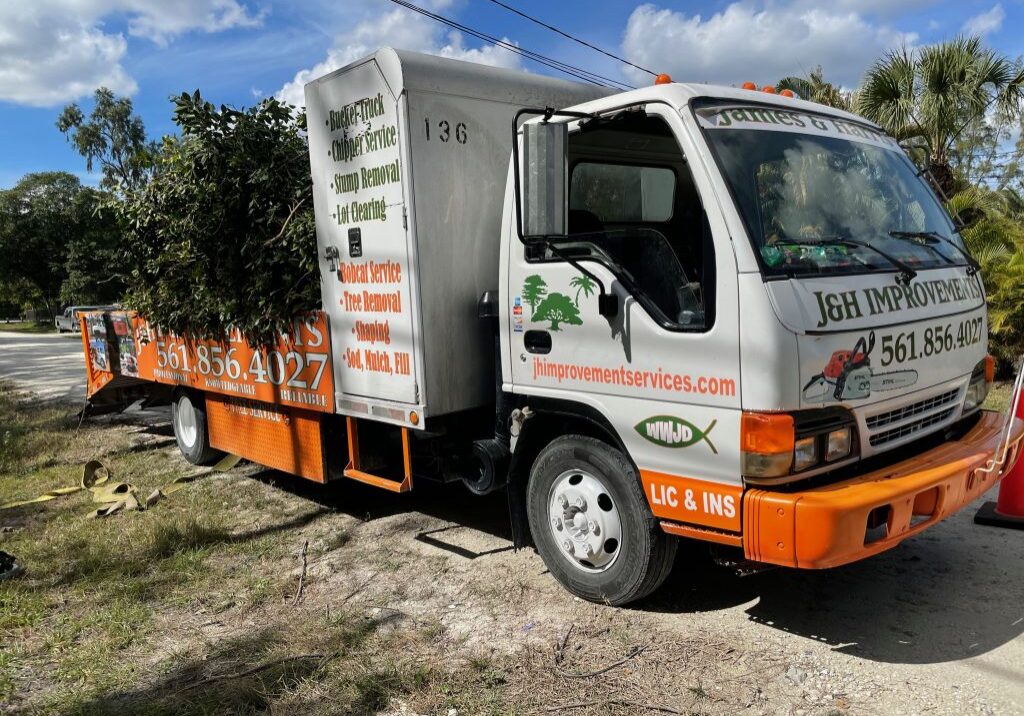 Tree Service, Tree Removal, Tree Trimming - Loxahatchee, Wellington, Royal Palm Beach, West Palm Beach, Westlake - JH Tree Service_22