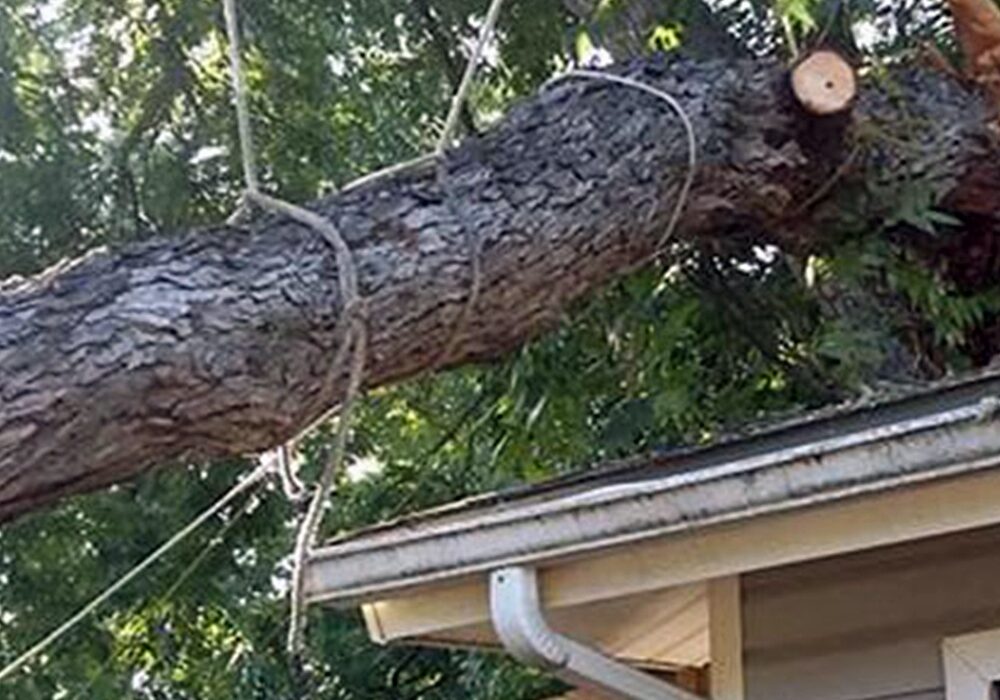 Storm Prep and Cleanup - J & H Tree Service, Loxahatchee, Wellington, Royal Palm Beach, Westlake